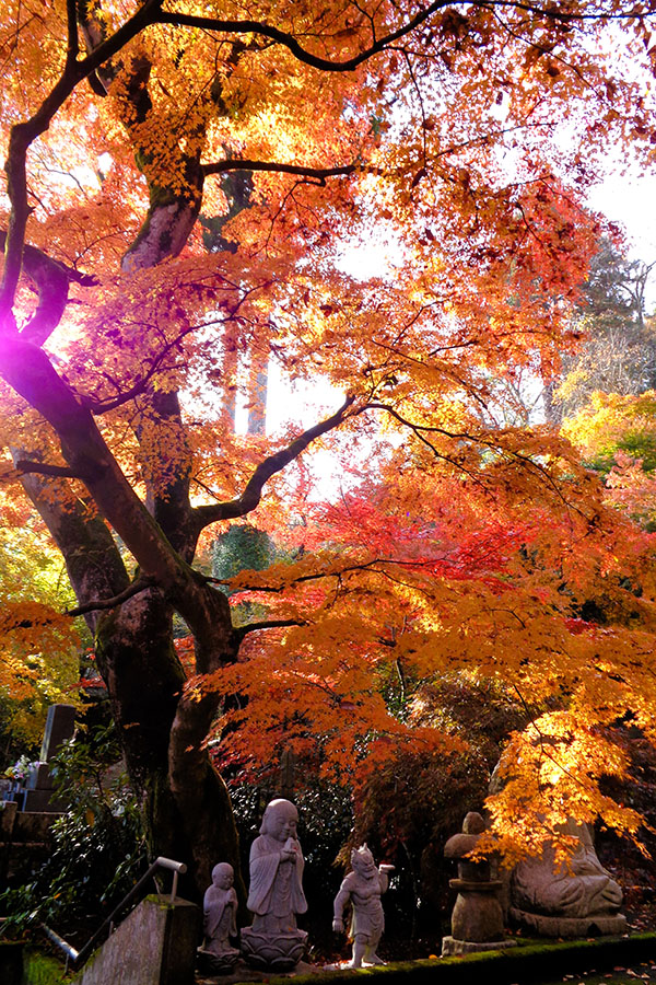 奨励賞「永源寺の紅葉」原口　孝和さん（大子町）