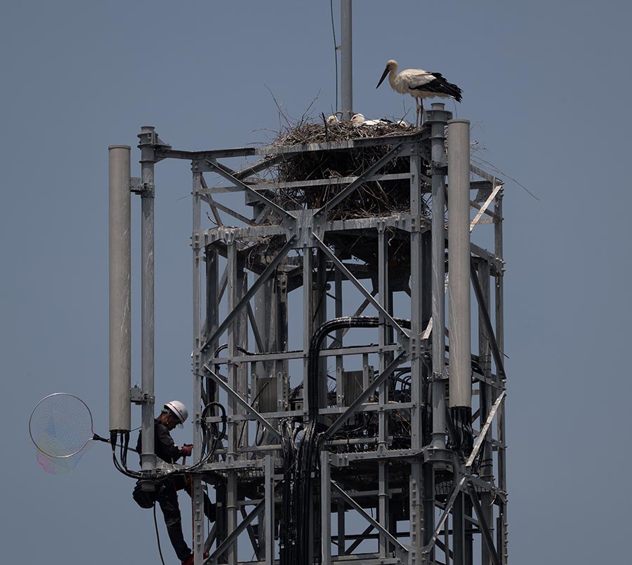 奨励賞「戸籍作り」笠井　明美さん（水戸市）