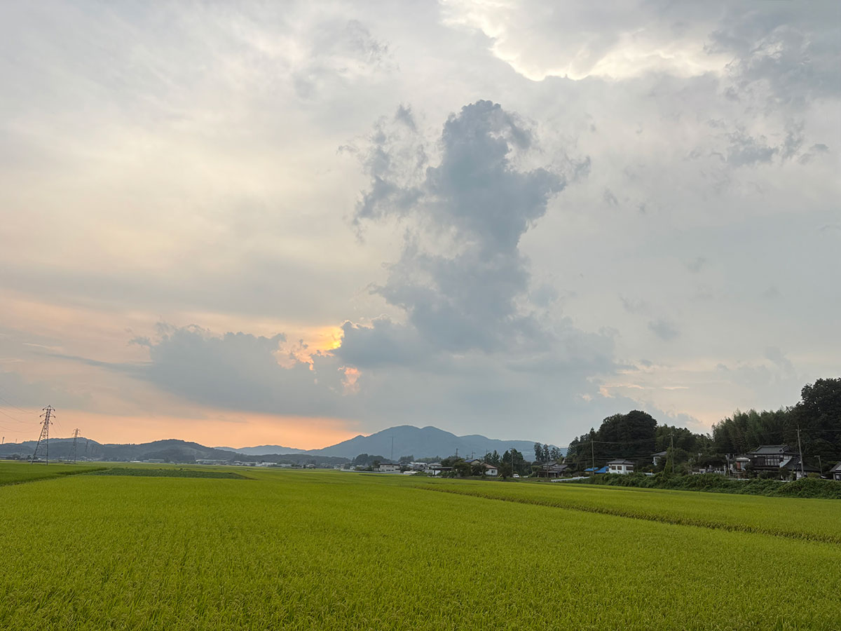 優秀賞「田園の守り神」藤田　陽央さん（桜川市）