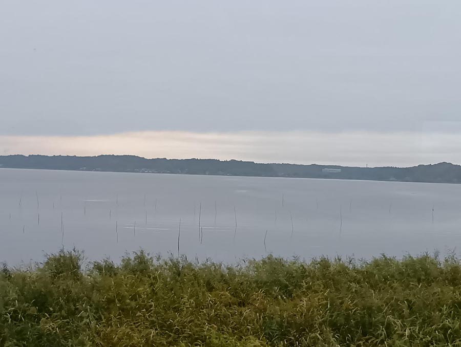 佳作「守っていきたいきれいな涸沼」石川　瑚夏さん（鉾田市）